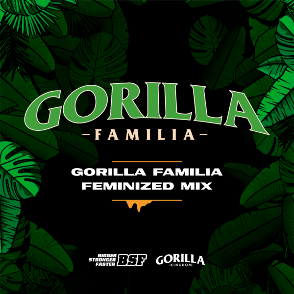 gorilla kingdom familia