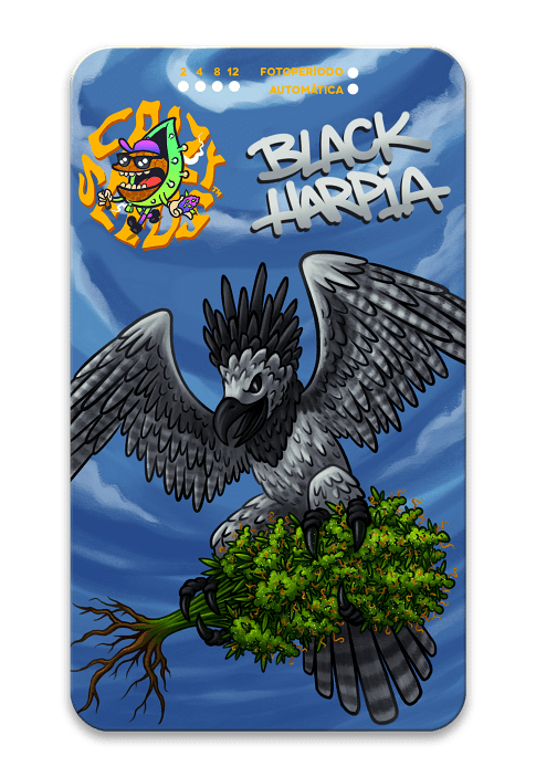 Black Harpia