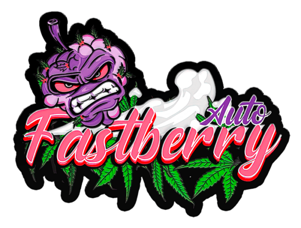 Fastberry Auto