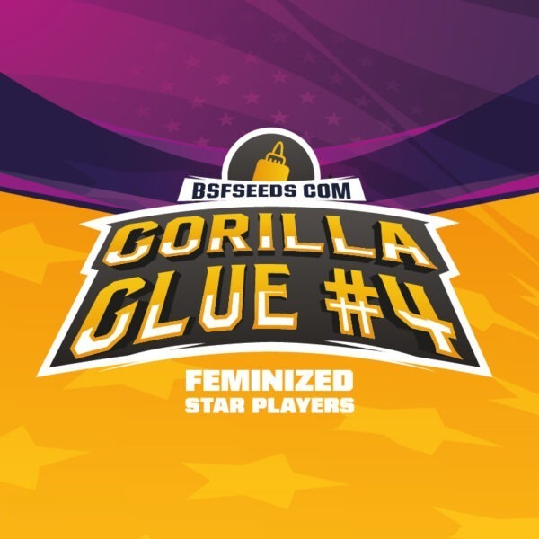 Gorilla Kingdom Glue #4